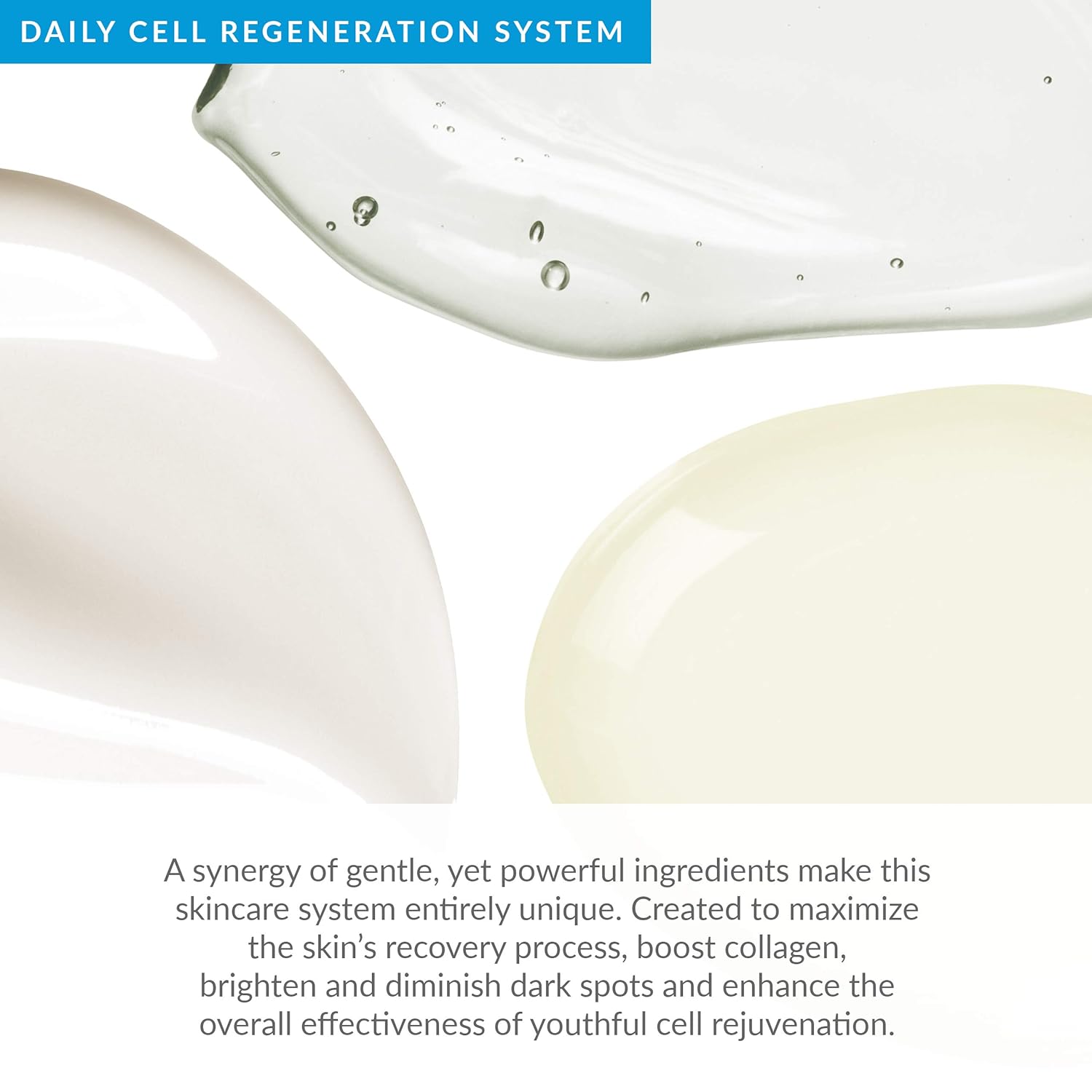 PMD Daily Cell Regeneration Starter Kit