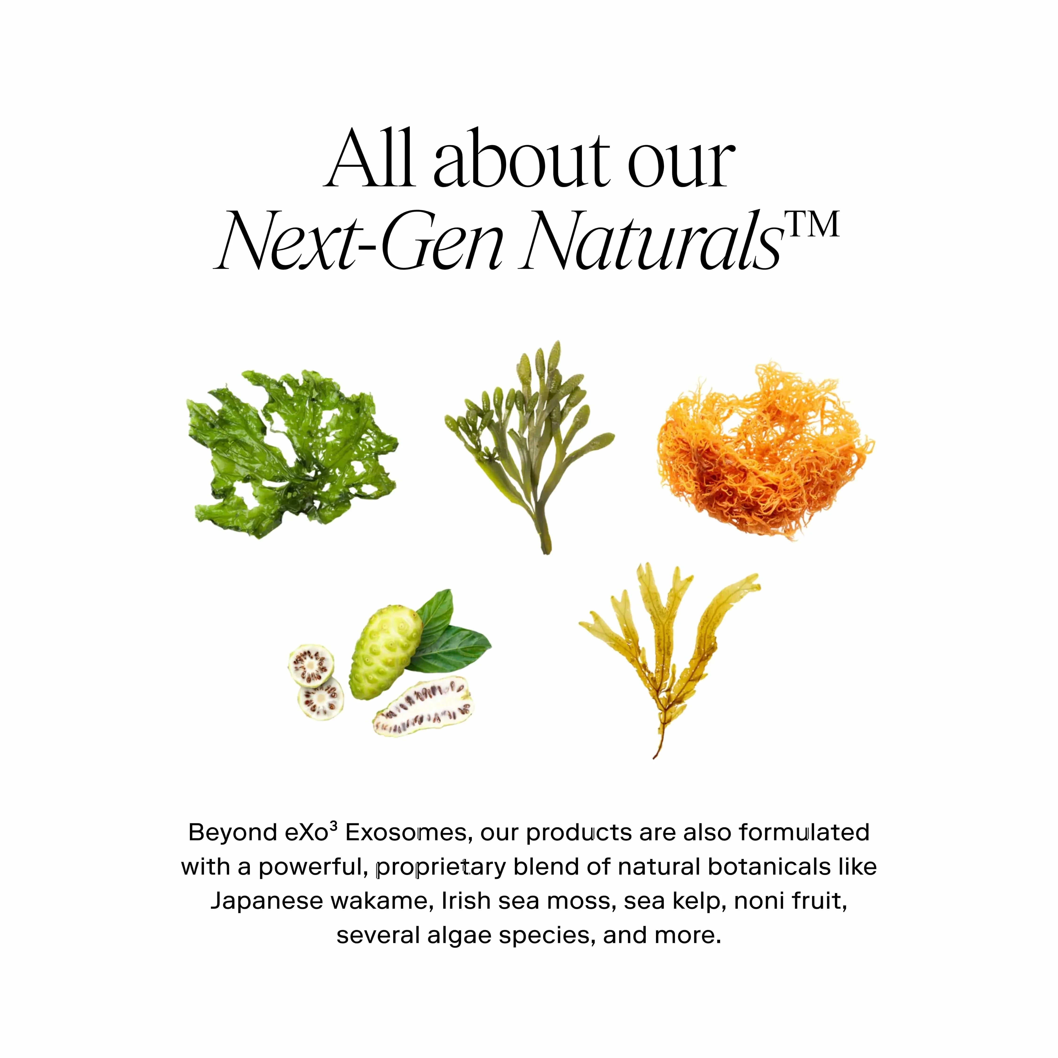 Exoceuticals Exo Plus Anti-Aging Cream