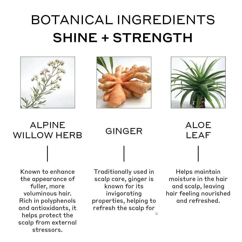Zenagen Evolve Nourishing Shampoo