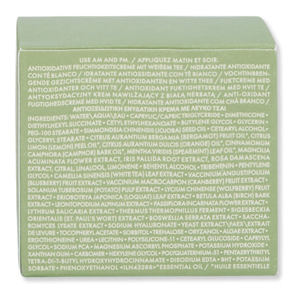 Origins A Perfect World Antioxidant Moisturizer
