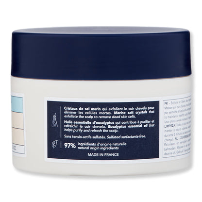 Phyto Scalp Solution Purifying Cleansing Scrub